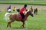 File:4ème manche du championnat suisse de Pony games 2013 - 